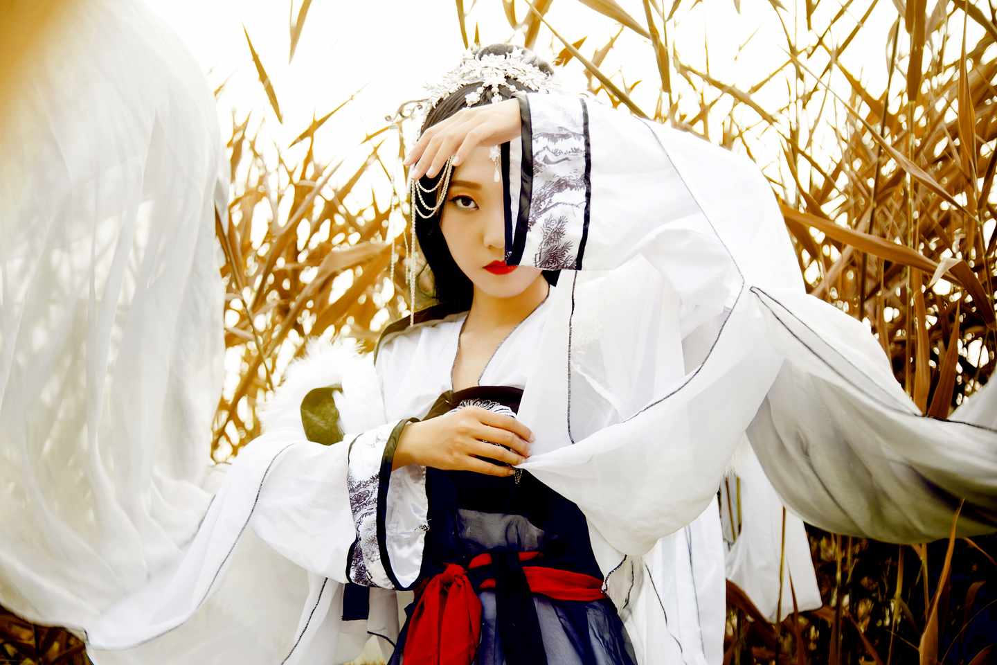 鹤拟人cosplay