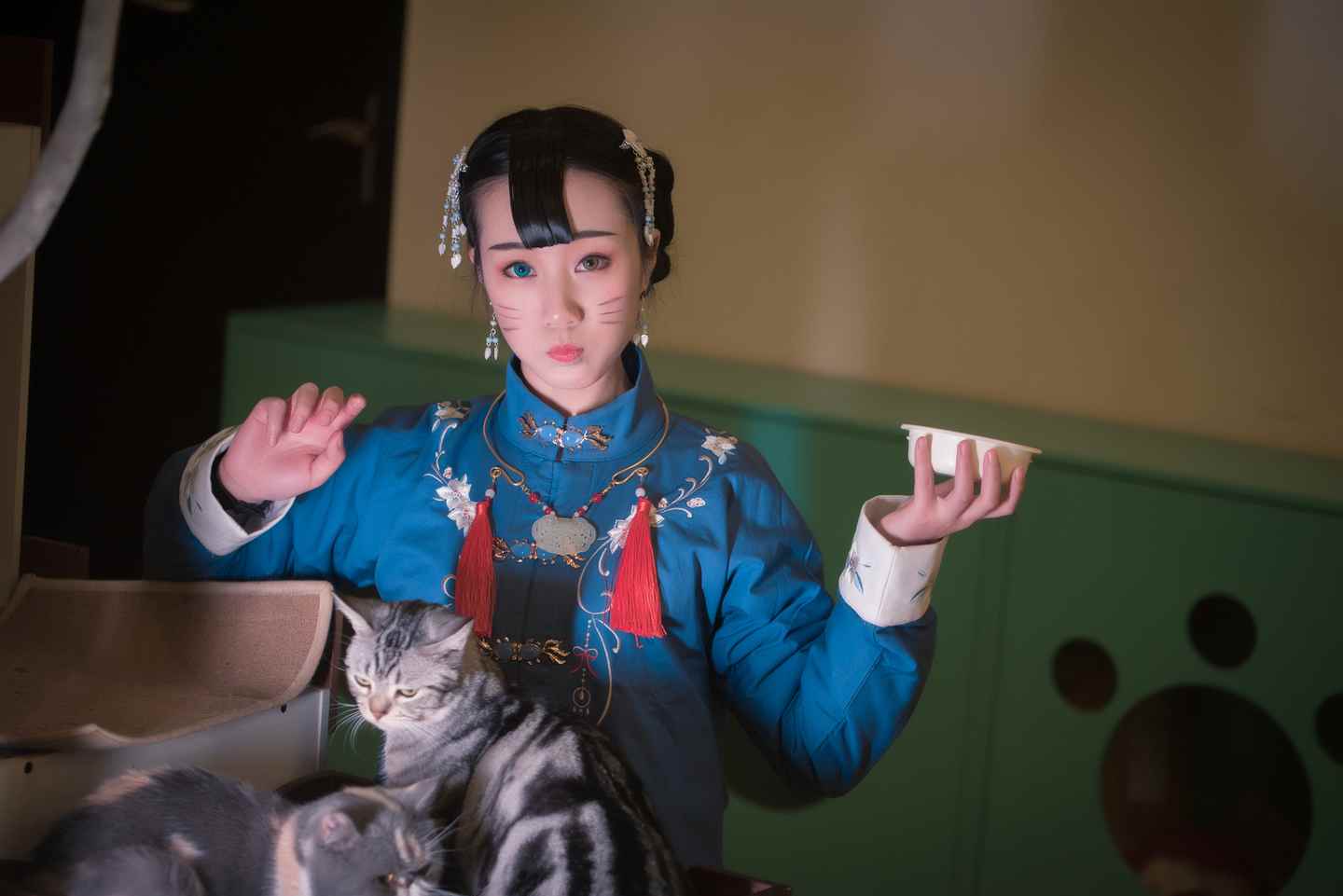 汉服#猫趣#