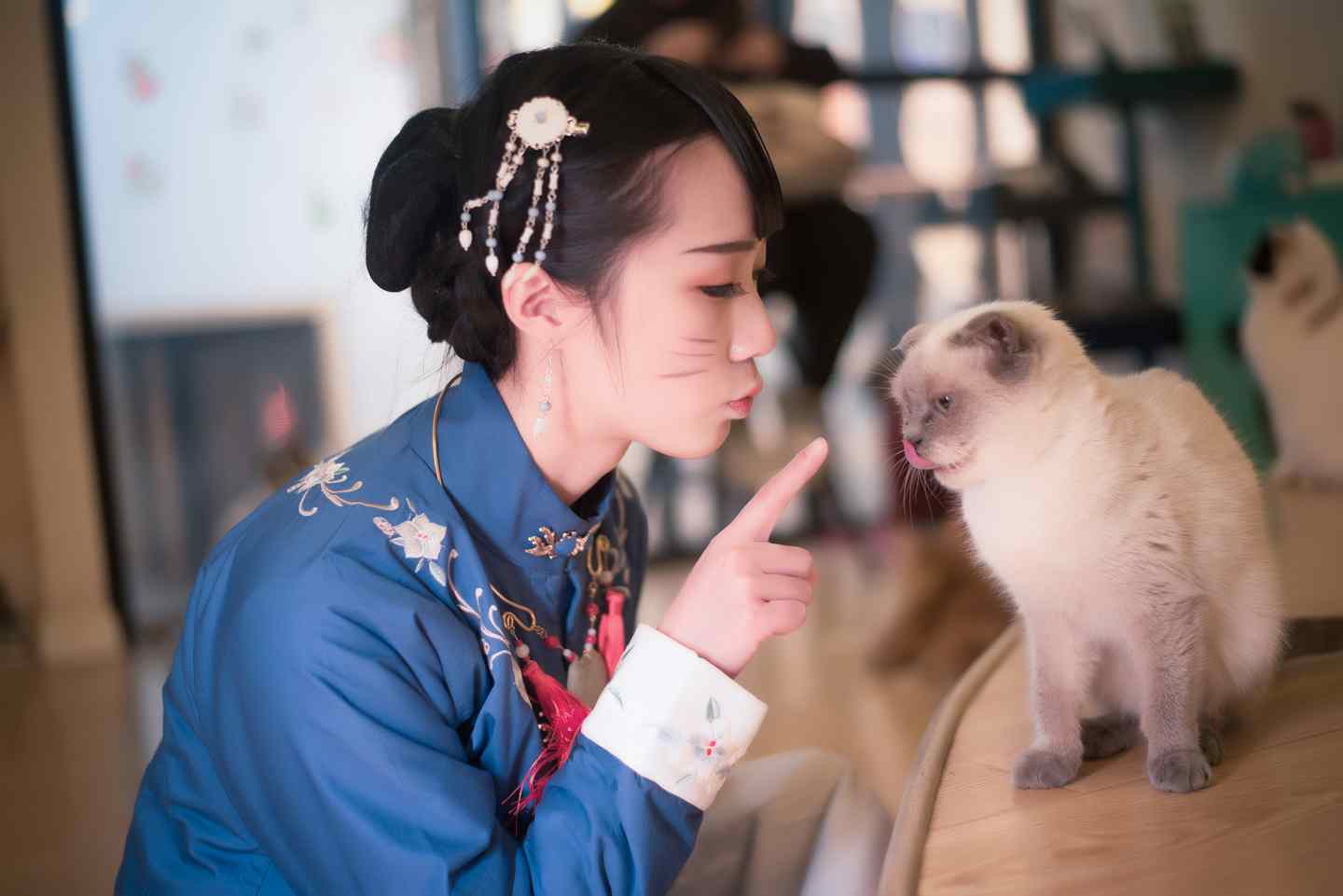 汉服#猫趣#