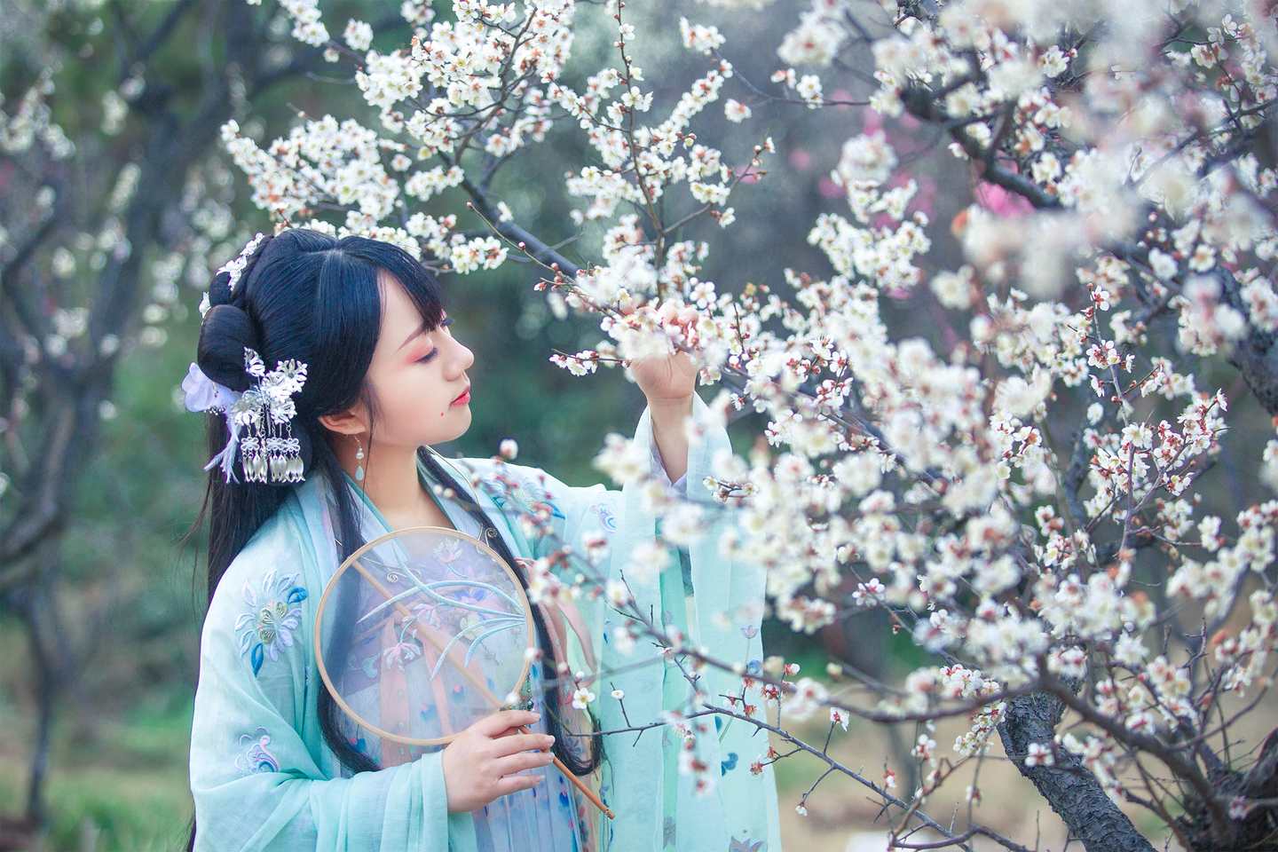 汉服 梅花泪