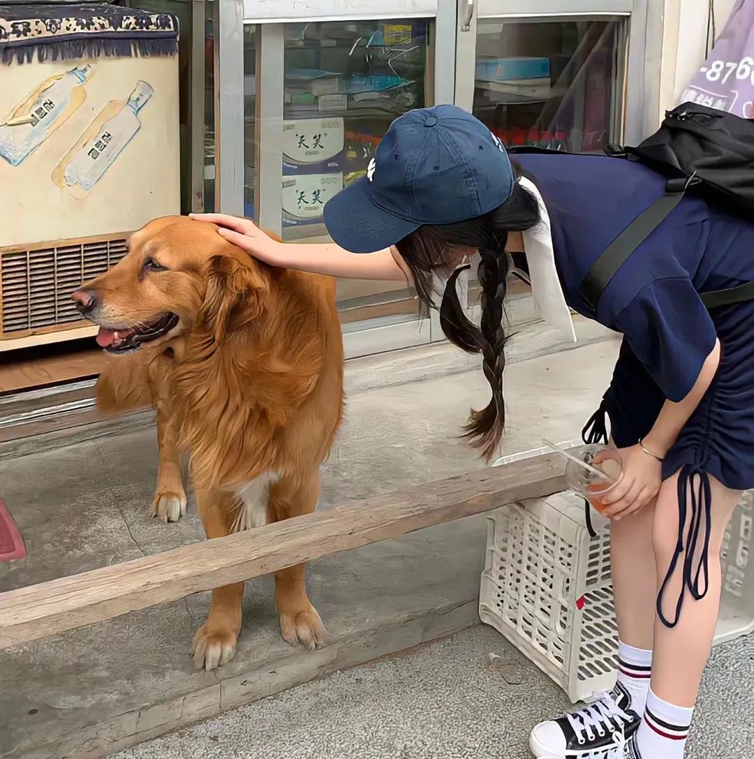 【头像】超好看的微信头像